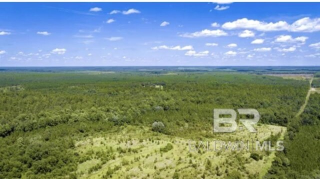 31512A N River Rd, Loxley, AL 36551