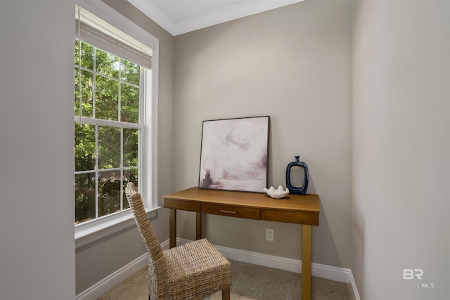 office area with carpet flooring and crown molding