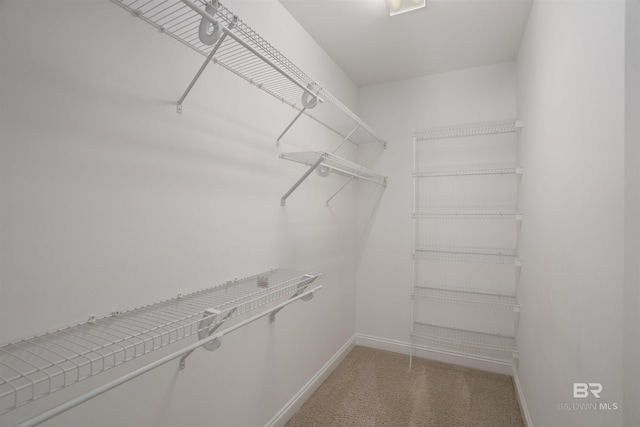 view of spacious closet