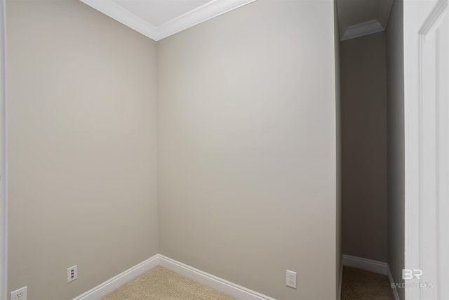 empty room with carpet flooring and ornamental molding