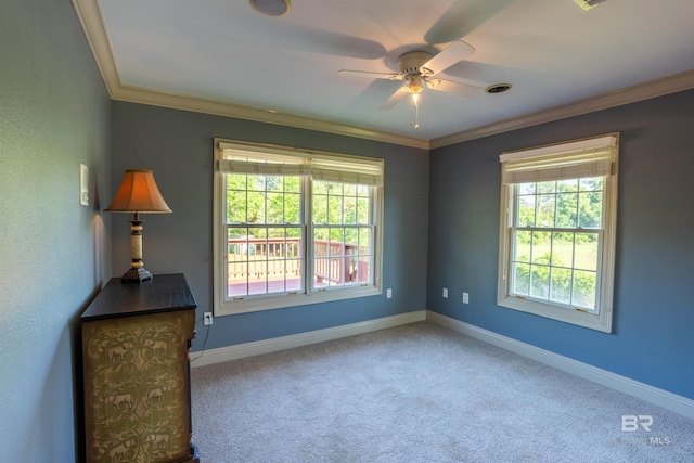 9150 County Road 91, Lillian, AL 36549 - carpeted spare room with crown molding, ceiling fan, and baseboards