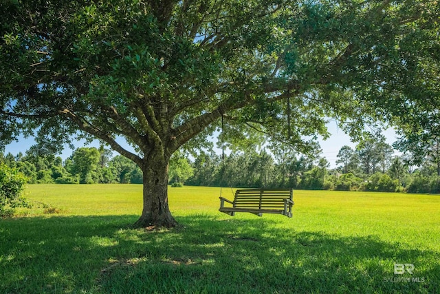 9150 County Road 91, Lillian, AL 36549 - view of property's community with a lawn