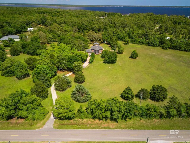 9150 County Road 91, Lillian, AL 36549 - drone / aerial view of a forest and a large body of water