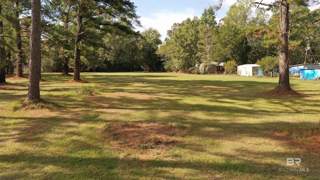 7121 N Century Blvd, Century, FL 32535 - view of green lawn