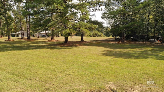 7121 N Century Blvd, Century, FL 32535 - view of green lawn