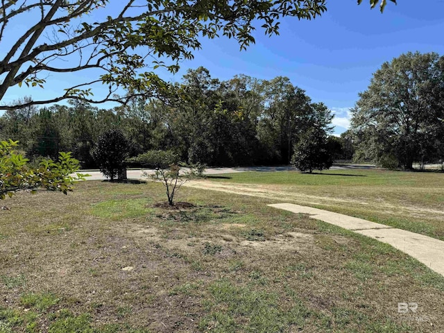 7121 N Century Blvd, Century, FL 32535 - view of grassy yard