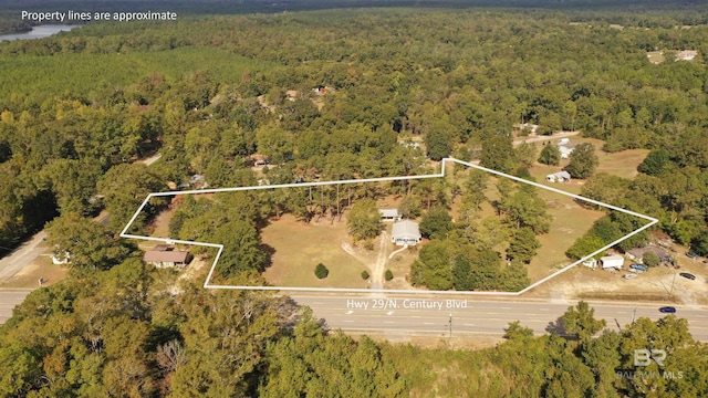 7121 N Century Blvd, Century, FL 32535 - aerial view of property and surrounding area featuring a forest and property parcel outlined