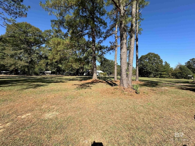 7121 N Century Blvd, Century, FL 32535 - view of green lawn