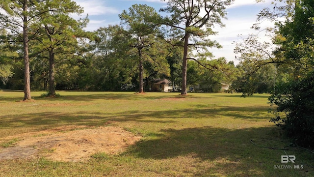 7121 N Century Blvd, Century, FL 32535 - view of grassy yard