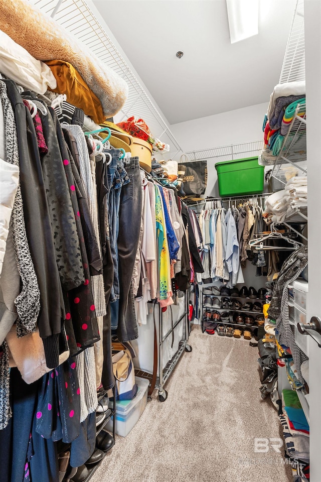 spacious closet featuring carpet