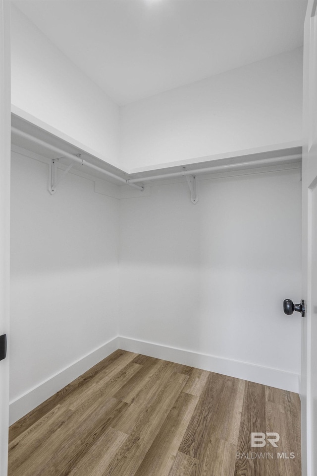 walk in closet featuring wood-type flooring