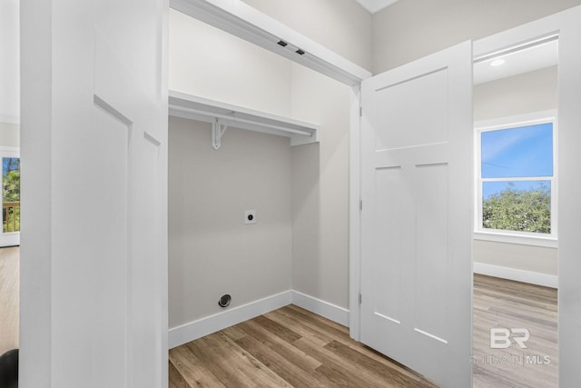 washroom featuring light hardwood / wood-style floors and electric dryer hookup