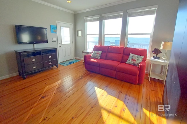 living room with ornamental molding, wood-type flooring, and baseboards