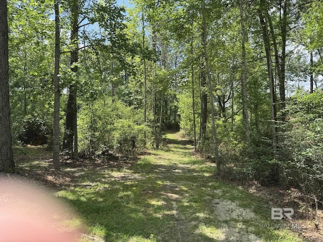 view of local wilderness with a wooded view