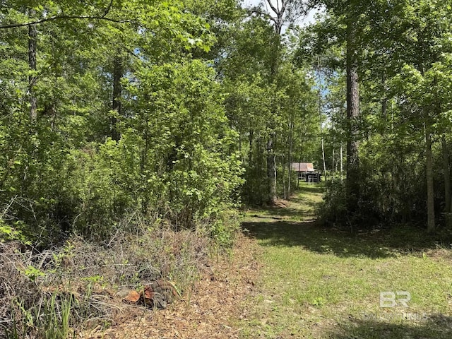 view of local wilderness featuring a forest view