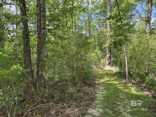 15760 Pine Grove Rd Extension, Bay Minette, AL 36507 - view of tree filled area
