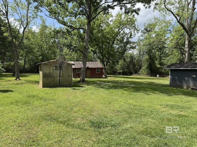 view of yard with an outbuilding and a storage unit