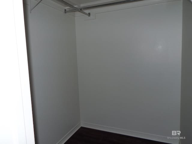 spacious closet featuring dark hardwood / wood-style flooring