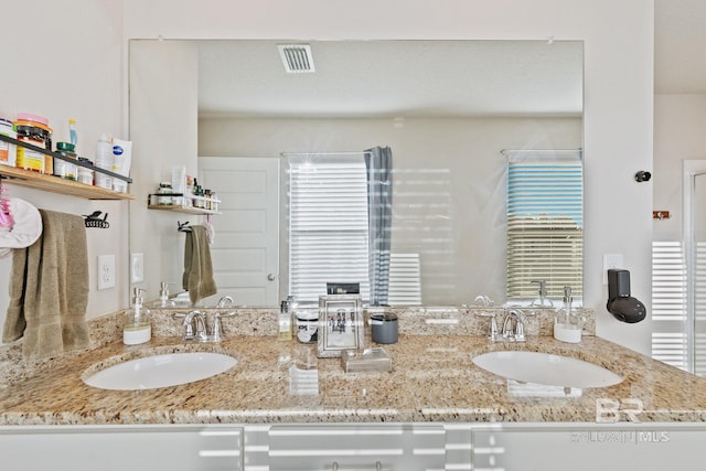 bathroom with vanity and plenty of natural light