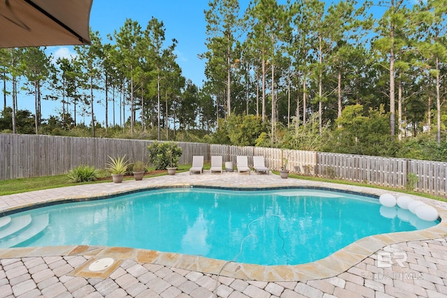 view of pool featuring a patio