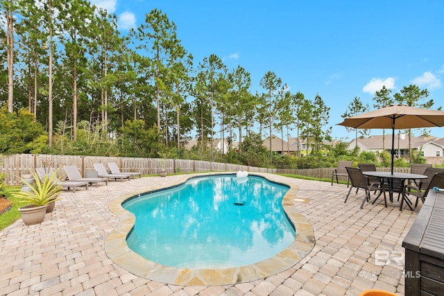 view of swimming pool featuring a patio