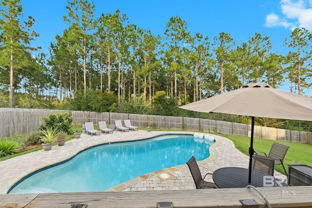 view of pool featuring a patio and a yard