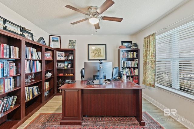 office featuring light hardwood / wood-style floors, ceiling fan, and a textured ceiling