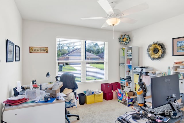 office area with ceiling fan and carpet