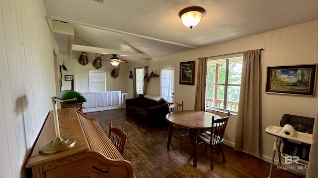 interior space with ceiling fan, dark wood-type flooring, and vaulted ceiling