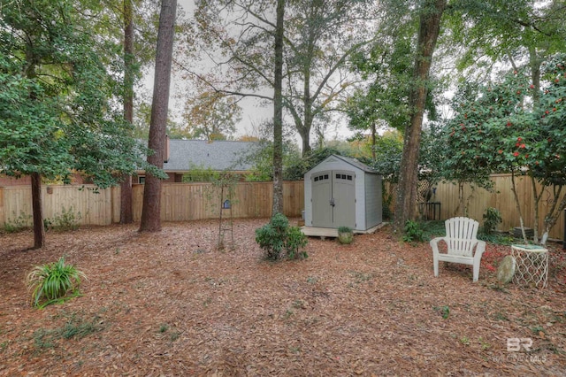 view of yard with a storage shed