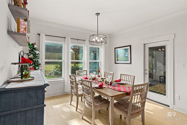 dining space with a chandelier, light hardwood / wood-style floors, and ornamental molding