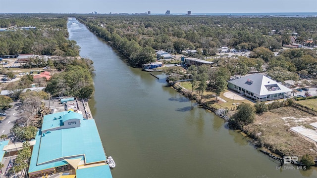 bird's eye view with a water view and a view of trees