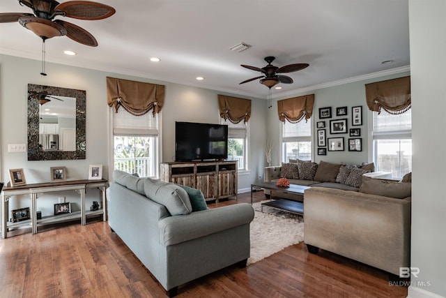 living room with a healthy amount of sunlight, dark wood-type flooring, and ornamental molding