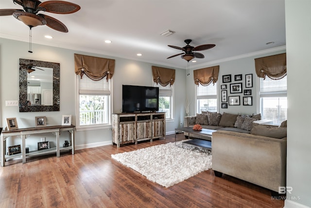 living room with hardwood / wood-style flooring, ceiling fan, and crown molding