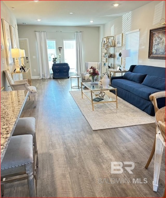 living room with dark hardwood / wood-style floors