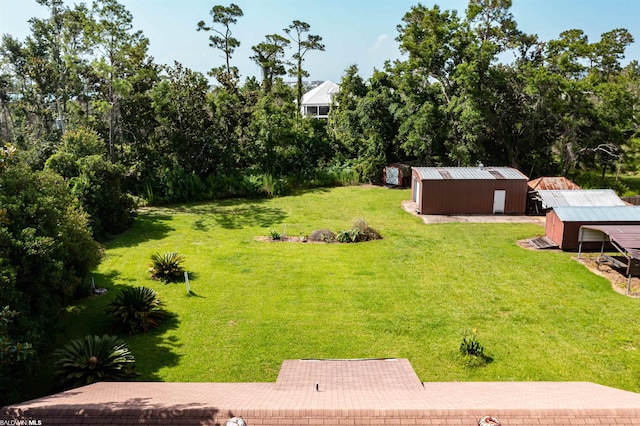 view of yard featuring a storage shed