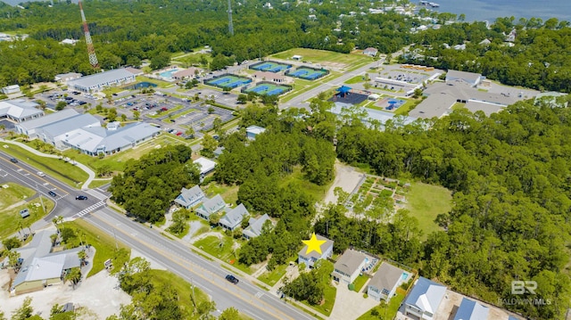 bird's eye view