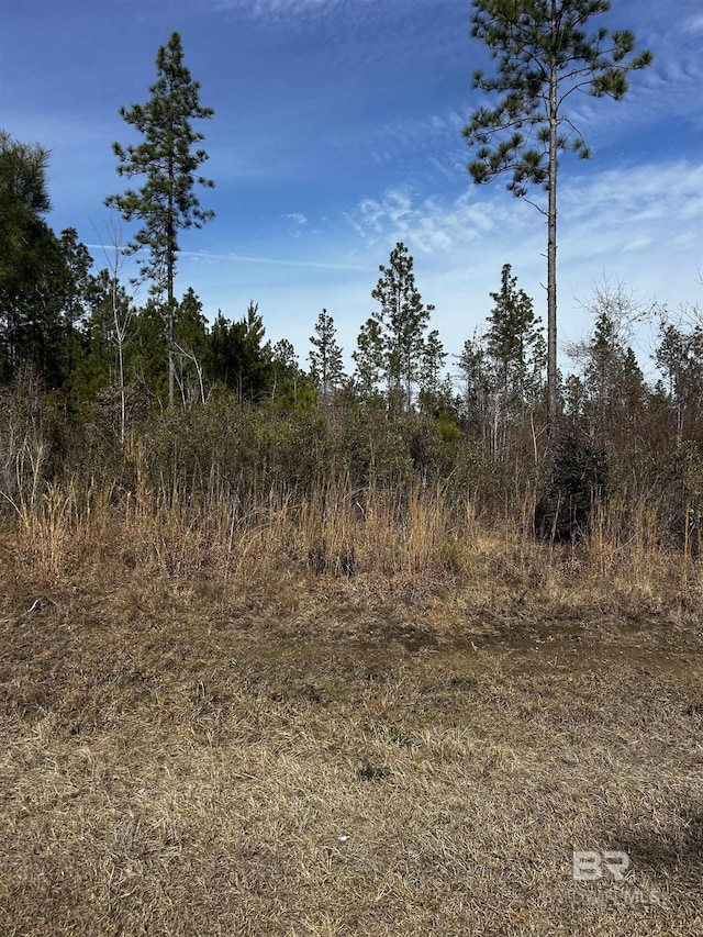 Listing photo 3 for 0 Lonnie Hadley Rd, Perdido AL 36562