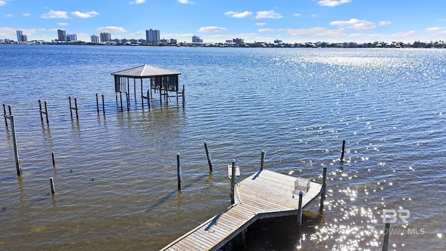 dock area with a water view