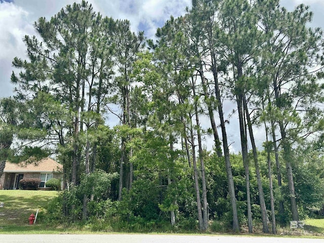 4103 Martinique Ct, Orange Beach, AL 36561