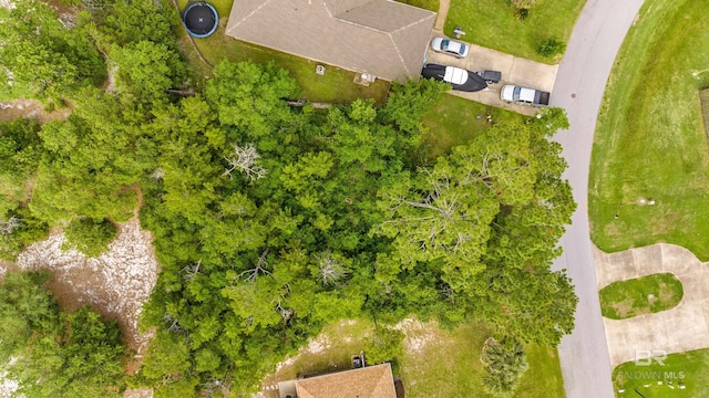 4103 Martinique Ct, Orange Beach, AL 36561