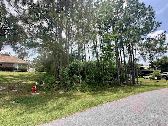 4103 Martinique Ct, Orange Beach, AL 36561
