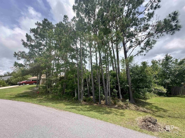 4103 Martinique Ct, Orange Beach, AL 36561