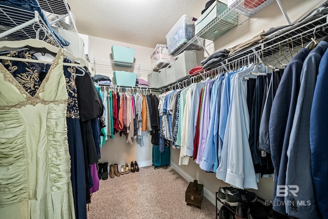 walk in closet with carpet flooring