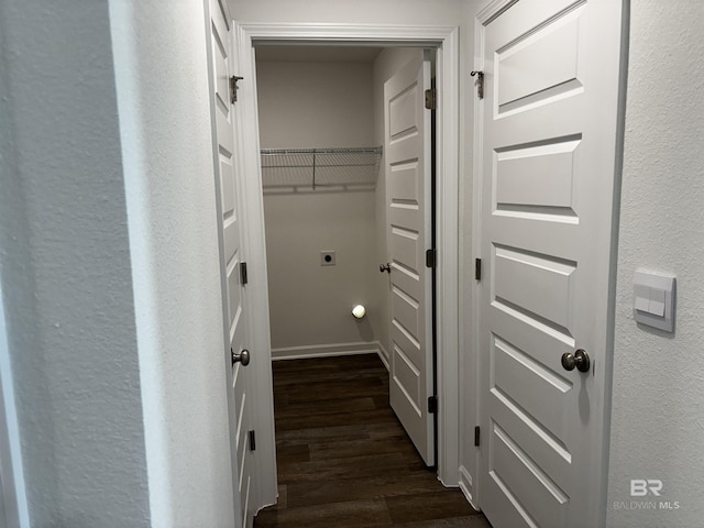 walk in closet with dark hardwood / wood-style flooring