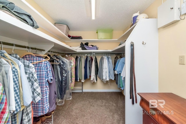 walk in closet with carpet flooring