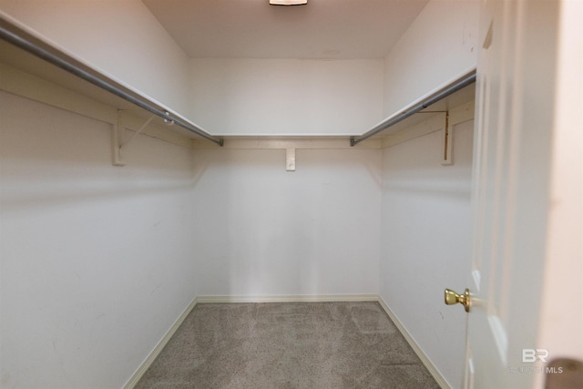 1619 Silver Creek Ct, Saraland, AL 36571 - walk in closet with carpet floors