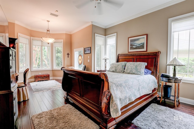 bedroom featuring dark hardwood / wood-style floors and multiple windows