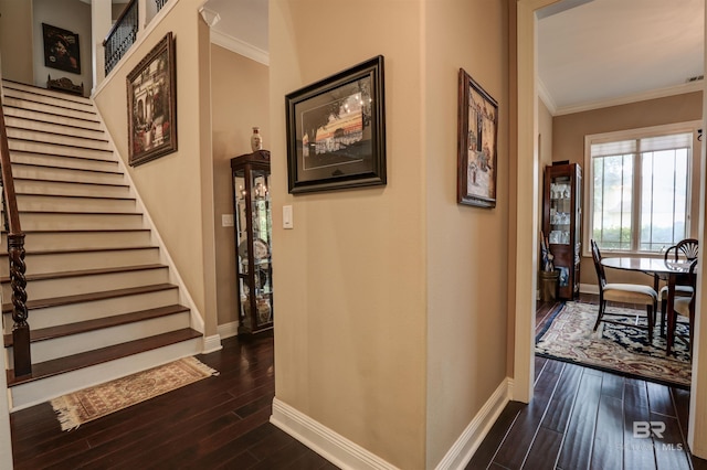 hallway with dark hardwood / wood-style flooring and ornamental molding