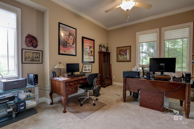 office featuring light carpet, ceiling fan, and ornamental molding